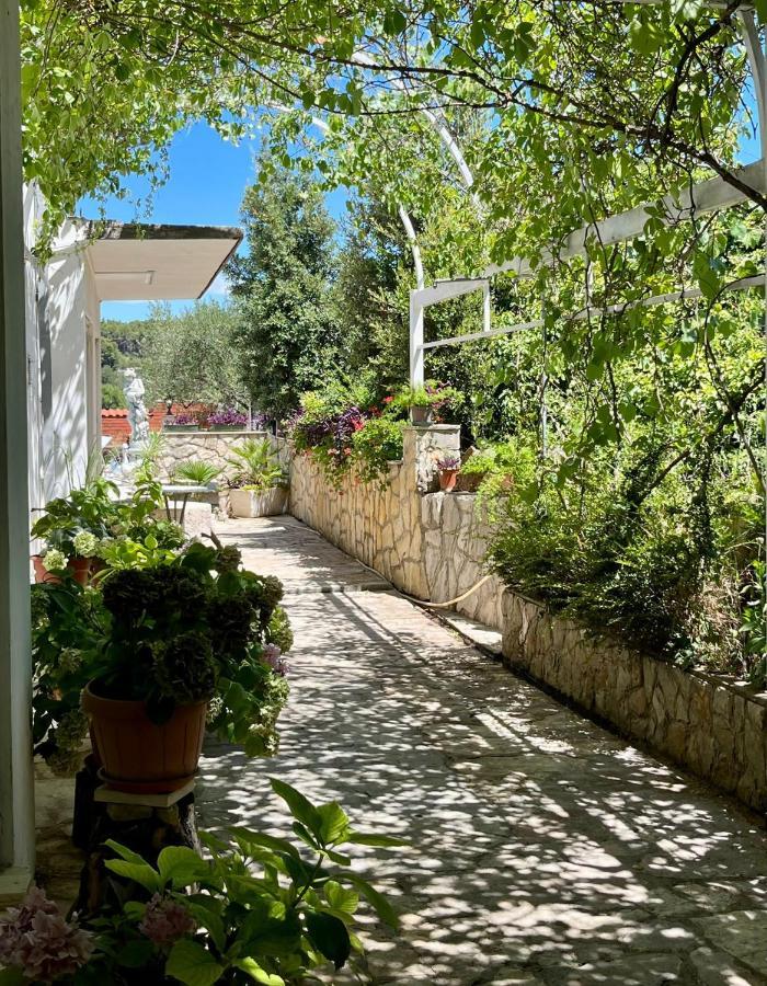 Appartement Gorana Apartman With Swimming Pool à Jelsa  Extérieur photo