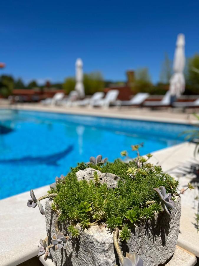 Appartement Gorana Apartman With Swimming Pool à Jelsa  Extérieur photo