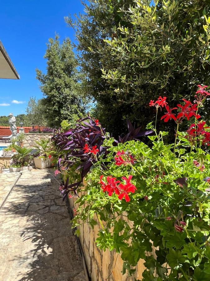 Appartement Gorana Apartman With Swimming Pool à Jelsa  Extérieur photo